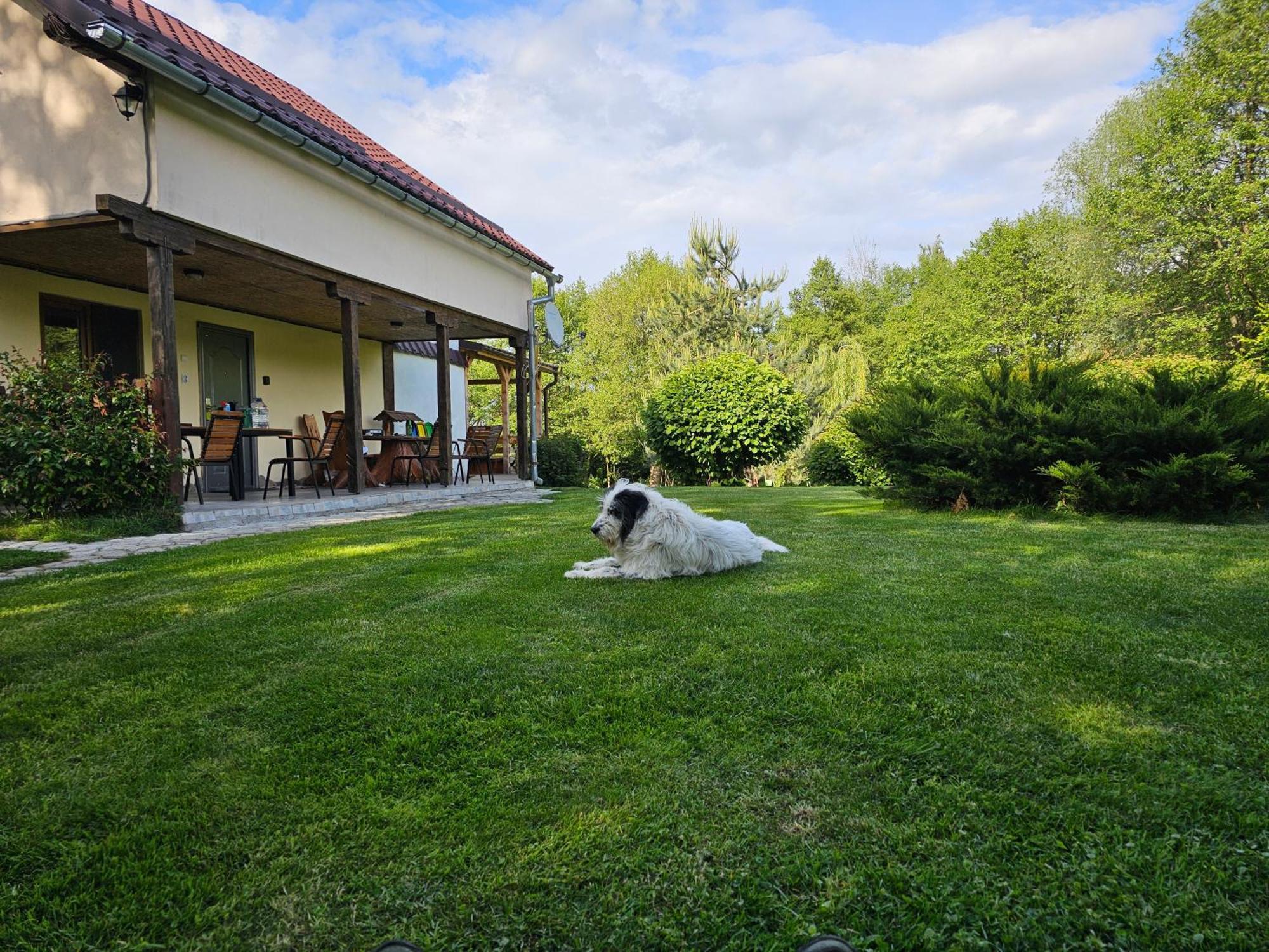 Casa De Vacanta Marin Arpaşu de Sus Exterior foto