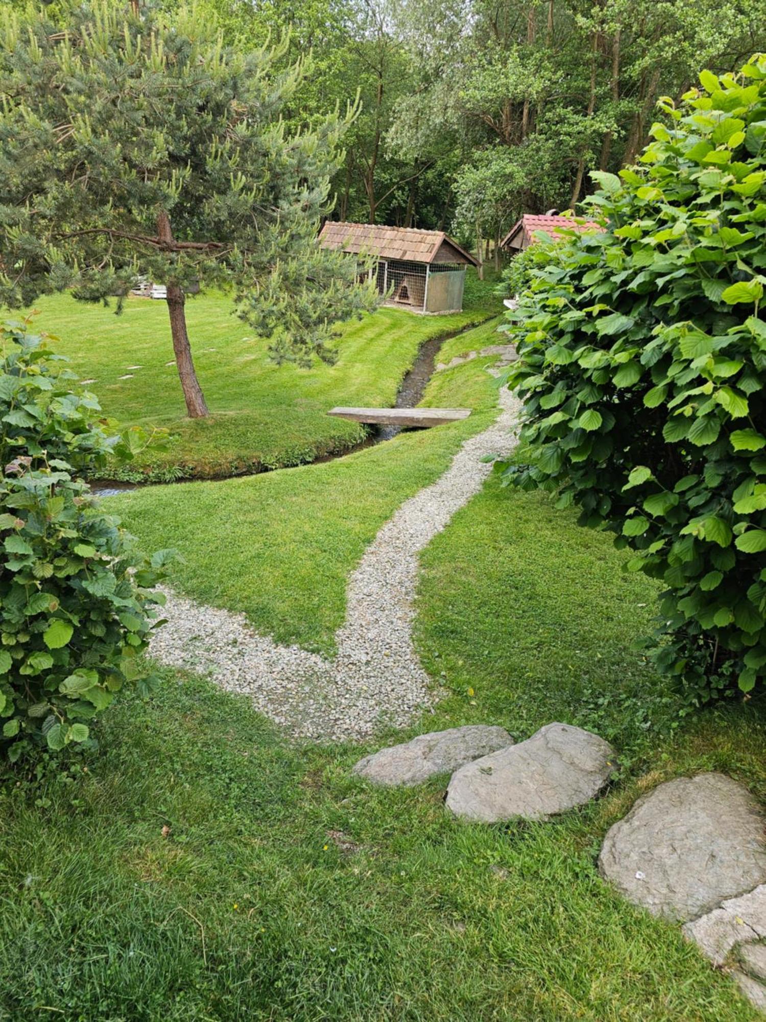 Casa De Vacanta Marin Arpaşu de Sus Exterior foto