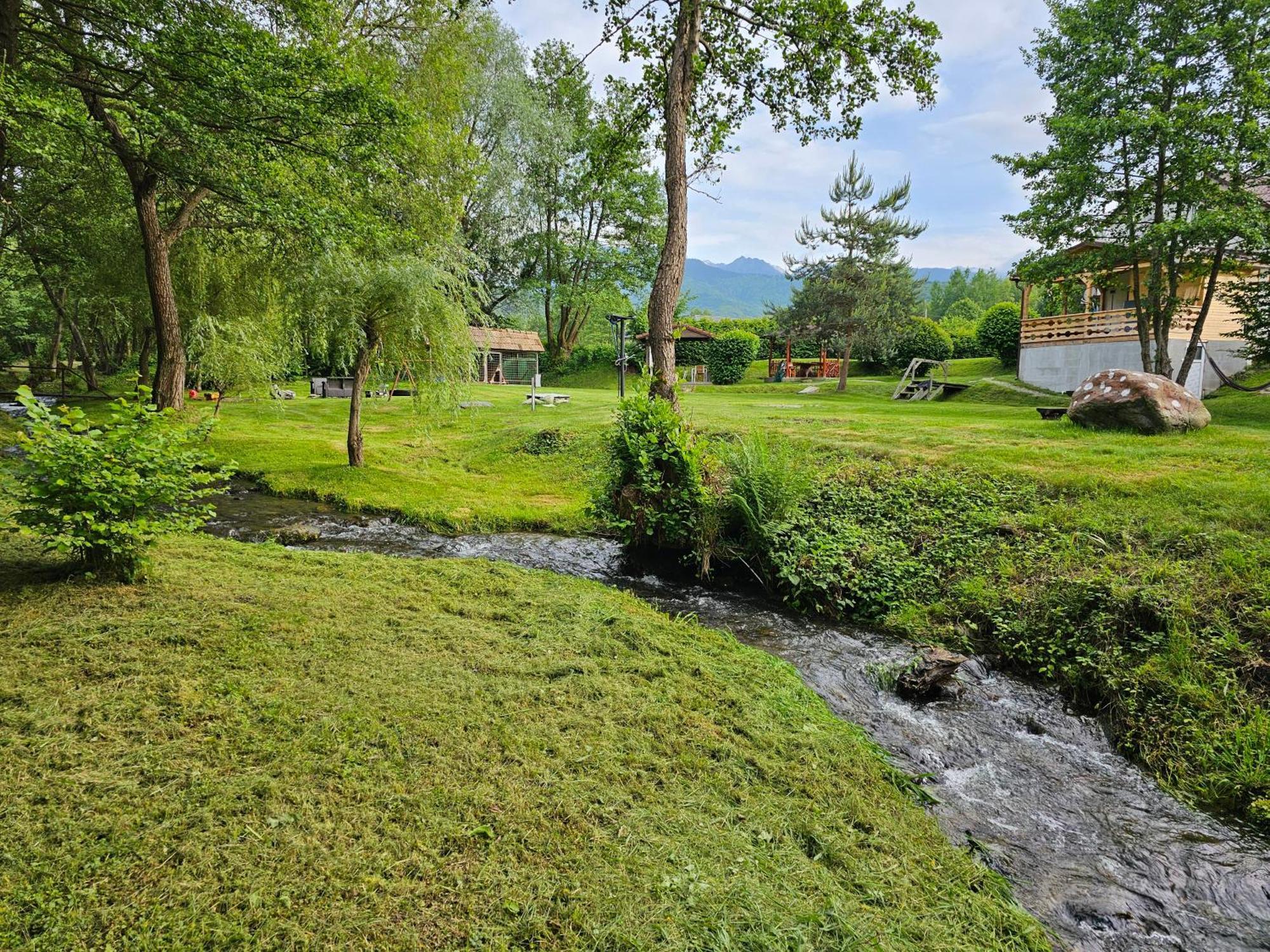 Casa De Vacanta Marin Arpaşu de Sus Exterior foto