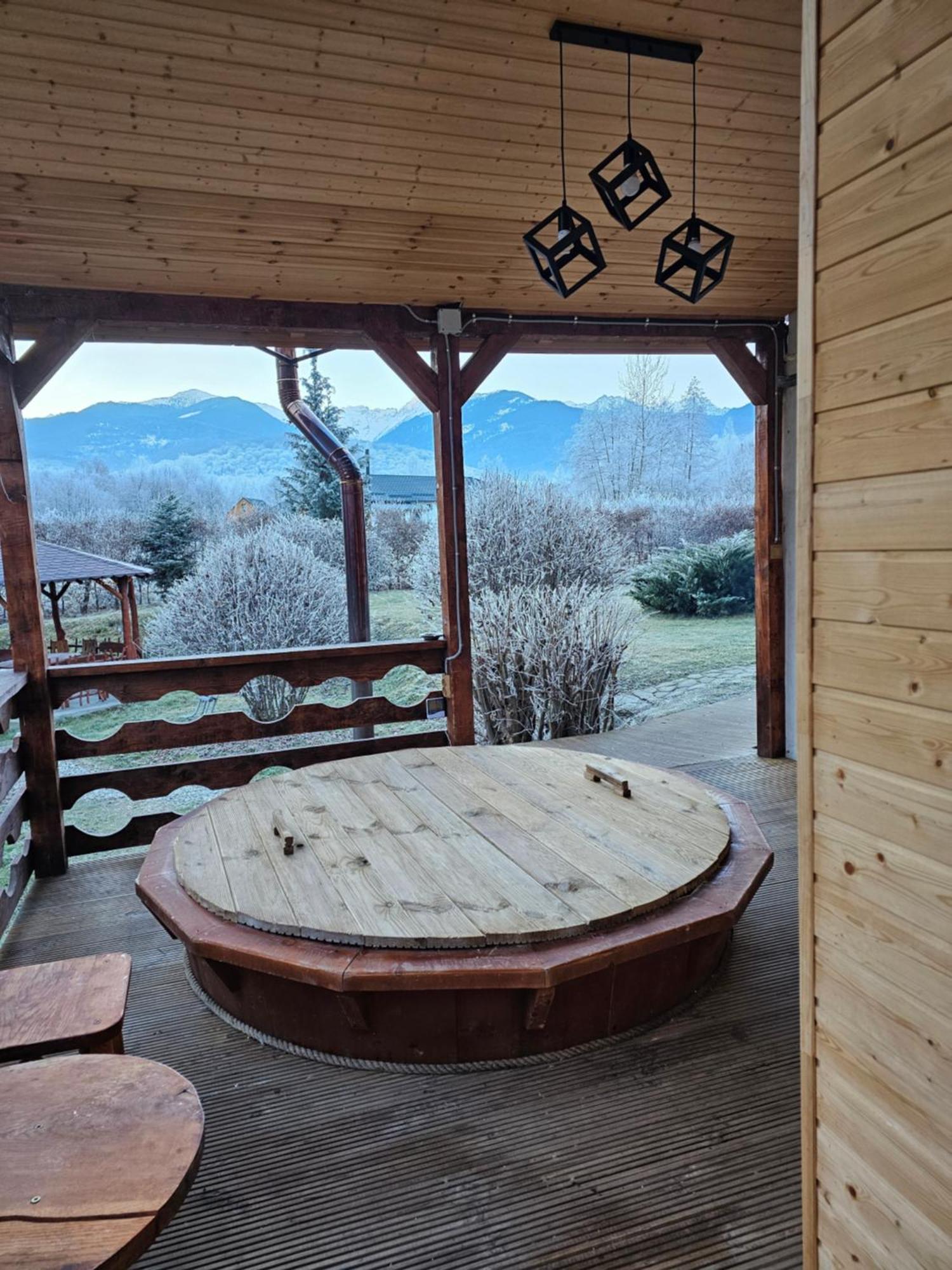 Casa De Vacanta Marin Arpaşu de Sus Exterior foto