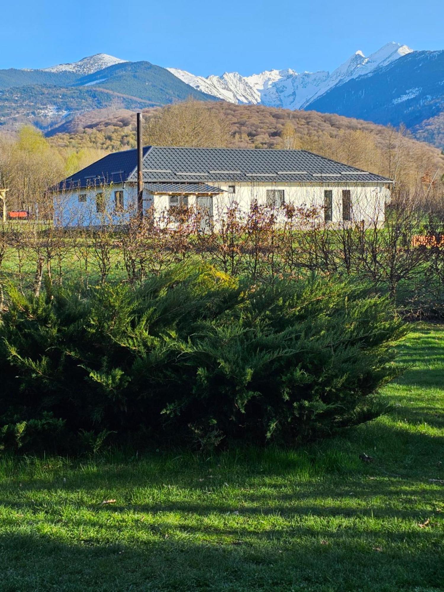 Casa De Vacanta Marin Arpaşu de Sus Exterior foto